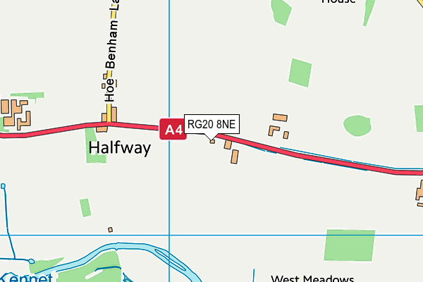 RG20 8NE map - OS VectorMap District (Ordnance Survey)