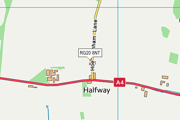 RG20 8NT map - OS VectorMap District (Ordnance Survey)