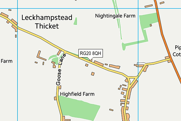 Leckhampstead Playing Field map (RG20 8QH) - OS VectorMap District (Ordnance Survey)