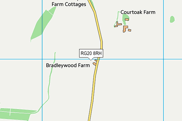 RG20 8RH map - OS VectorMap District (Ordnance Survey)