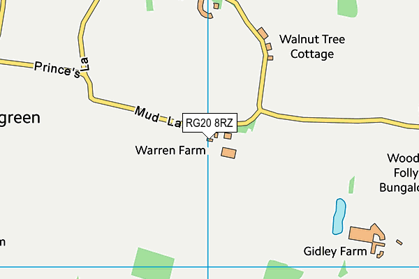 RG20 8RZ map - OS VectorMap District (Ordnance Survey)