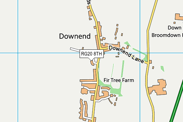 RG20 8TH map - OS VectorMap District (Ordnance Survey)