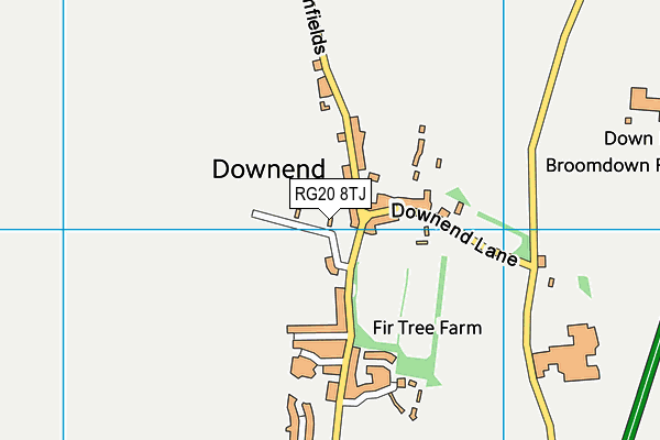 RG20 8TJ map - OS VectorMap District (Ordnance Survey)