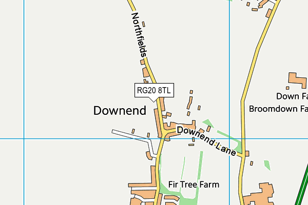 RG20 8TL map - OS VectorMap District (Ordnance Survey)