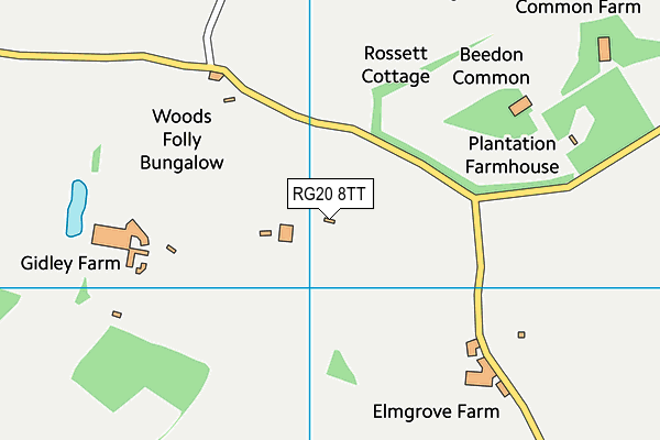 RG20 8TT map - OS VectorMap District (Ordnance Survey)