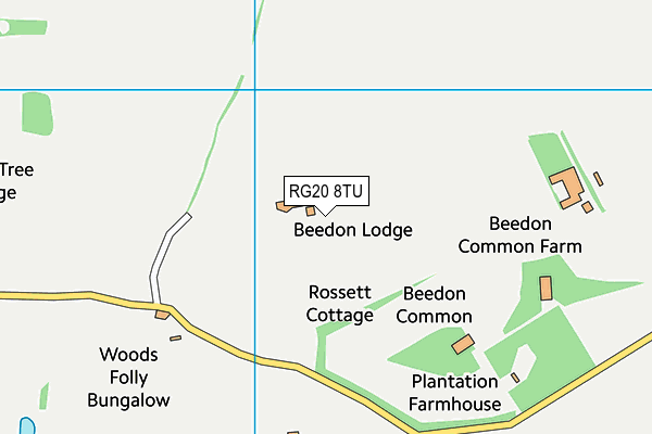 RG20 8TU map - OS VectorMap District (Ordnance Survey)