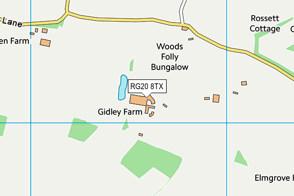 RG20 8TX map - OS VectorMap District (Ordnance Survey)