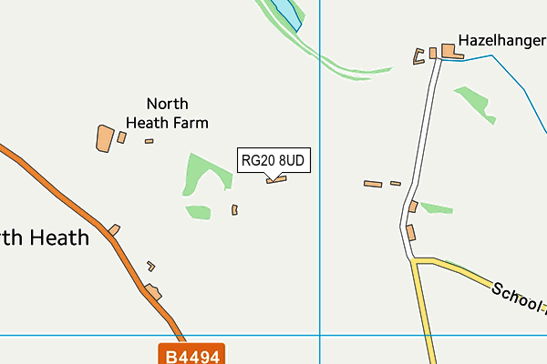 RG20 8UD map - OS VectorMap District (Ordnance Survey)