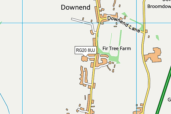 RG20 8UJ map - OS VectorMap District (Ordnance Survey)