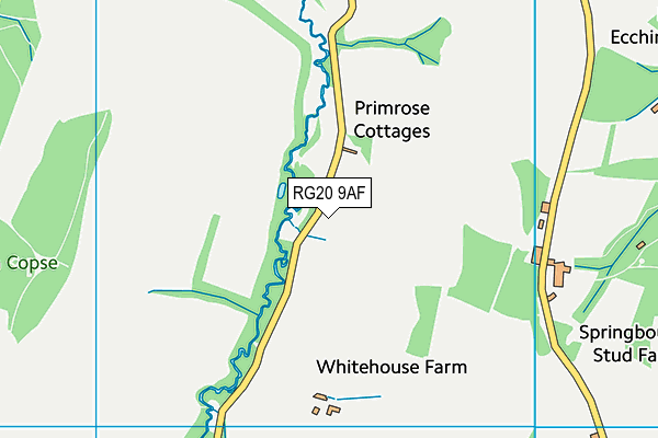 RG20 9AF map - OS VectorMap District (Ordnance Survey)