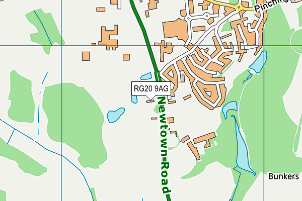 RG20 9AG map - OS VectorMap District (Ordnance Survey)