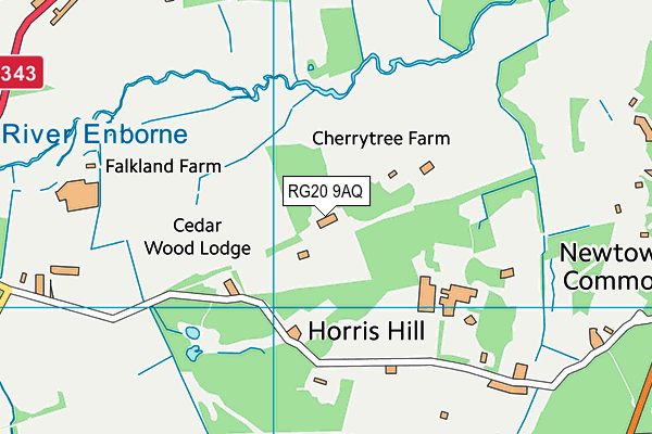 RG20 9AQ map - OS VectorMap District (Ordnance Survey)