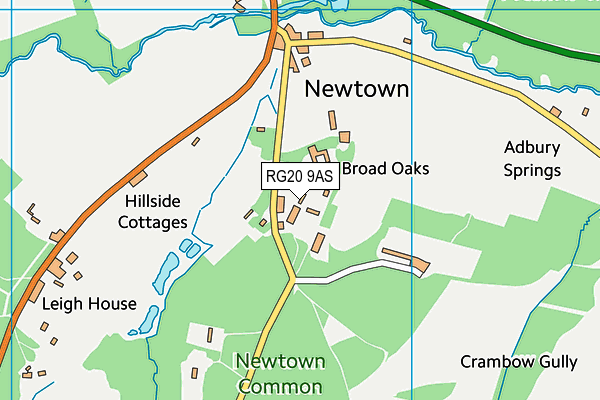 RG20 9AS map - OS VectorMap District (Ordnance Survey)