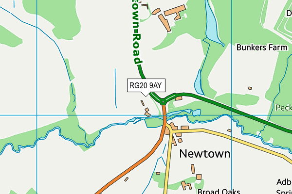 RG20 9AY map - OS VectorMap District (Ordnance Survey)