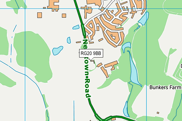 RG20 9BB map - OS VectorMap District (Ordnance Survey)