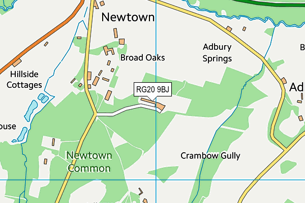 RG20 9BJ map - OS VectorMap District (Ordnance Survey)