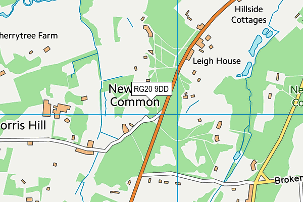 RG20 9DD map - OS VectorMap District (Ordnance Survey)