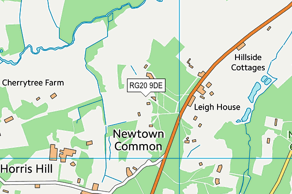 RG20 9DE map - OS VectorMap District (Ordnance Survey)