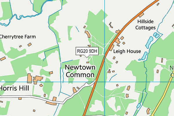 RG20 9DH map - OS VectorMap District (Ordnance Survey)