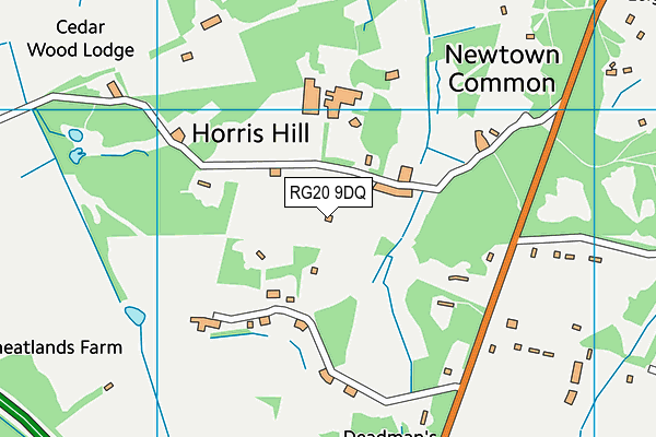 RG20 9DQ map - OS VectorMap District (Ordnance Survey)