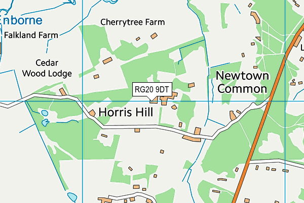 RG20 9DT map - OS VectorMap District (Ordnance Survey)