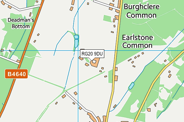 RG20 9DU map - OS VectorMap District (Ordnance Survey)