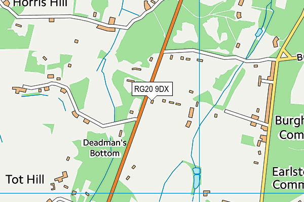 RG20 9DX map - OS VectorMap District (Ordnance Survey)