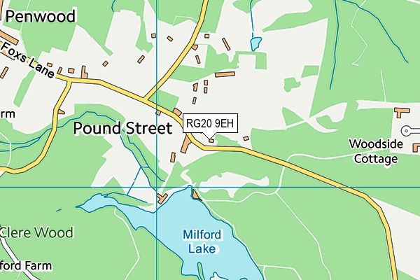 RG20 9EH map - OS VectorMap District (Ordnance Survey)