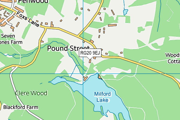 RG20 9EJ map - OS VectorMap District (Ordnance Survey)