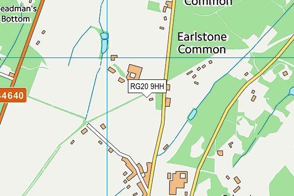 RG20 9HH map - OS VectorMap District (Ordnance Survey)