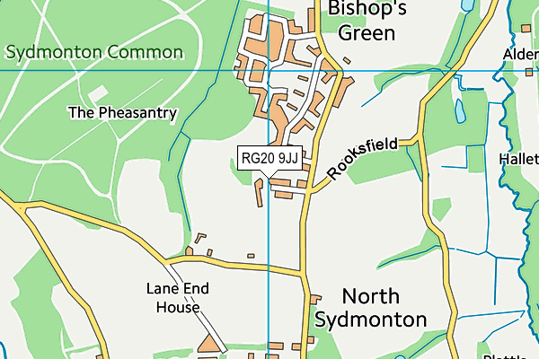 RG20 9JJ map - OS VectorMap District (Ordnance Survey)