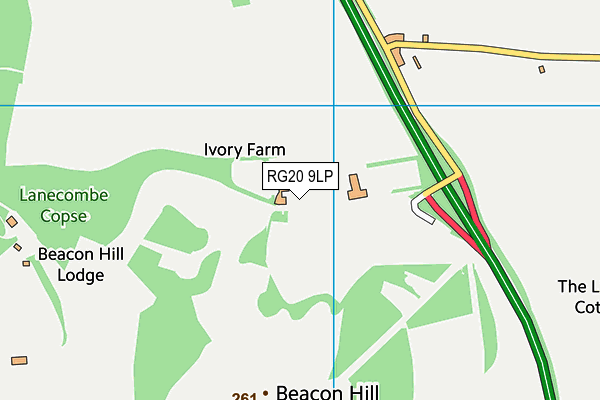 RG20 9LP map - OS VectorMap District (Ordnance Survey)