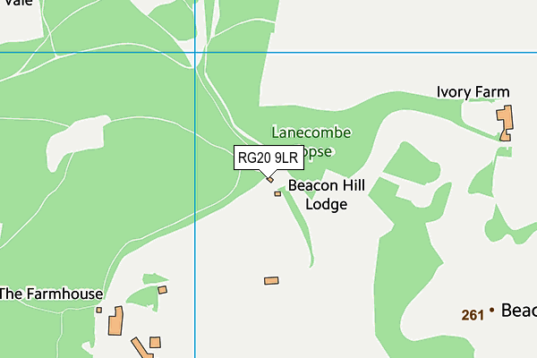 RG20 9LR map - OS VectorMap District (Ordnance Survey)