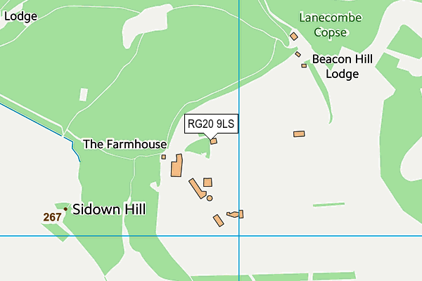 RG20 9LS map - OS VectorMap District (Ordnance Survey)