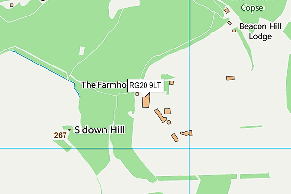 RG20 9LT map - OS VectorMap District (Ordnance Survey)