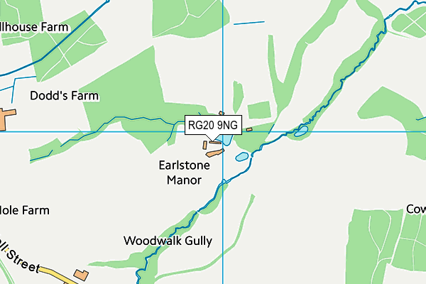 RG20 9NG map - OS VectorMap District (Ordnance Survey)