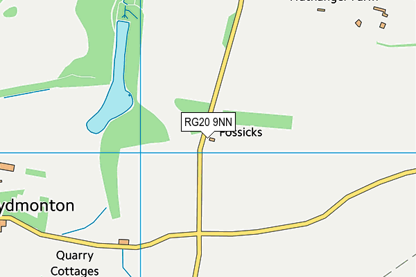 RG20 9NN map - OS VectorMap District (Ordnance Survey)