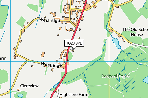 RG20 9PE map - OS VectorMap District (Ordnance Survey)