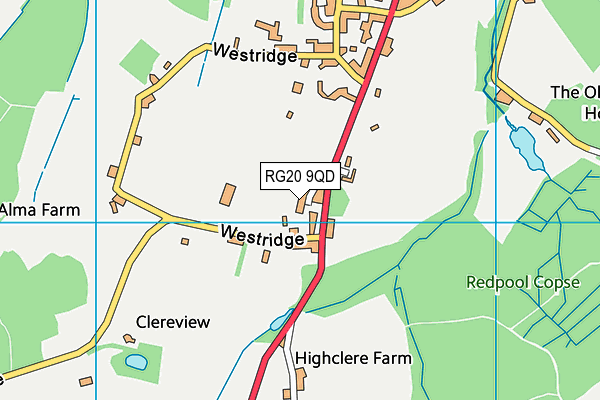 RG20 9QD map - OS VectorMap District (Ordnance Survey)