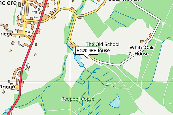 RG20 9RH map - OS VectorMap District (Ordnance Survey)