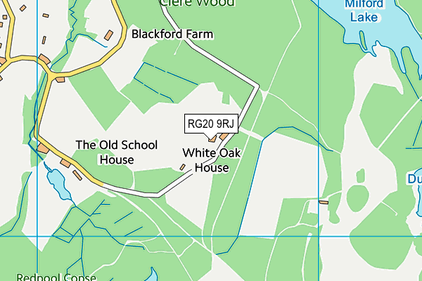 RG20 9RJ map - OS VectorMap District (Ordnance Survey)