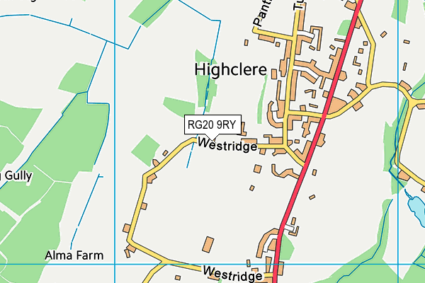 RG20 9RY map - OS VectorMap District (Ordnance Survey)