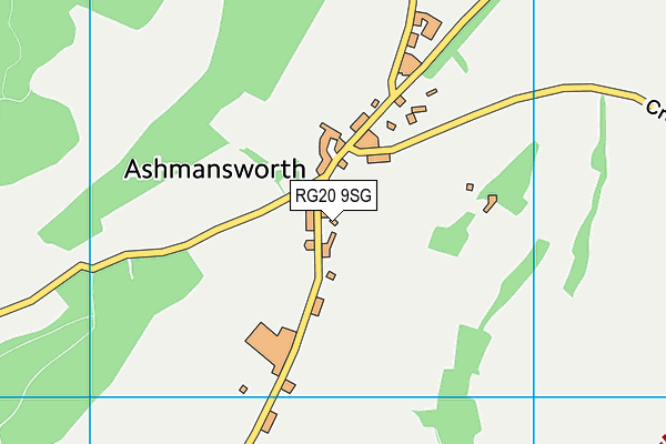 RG20 9SG map - OS VectorMap District (Ordnance Survey)