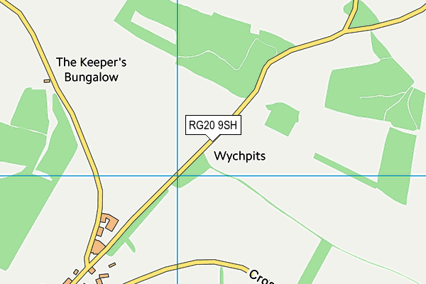 RG20 9SH map - OS VectorMap District (Ordnance Survey)