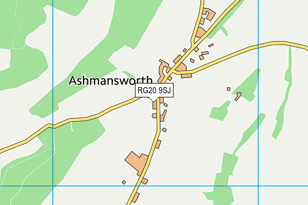 RG20 9SJ map - OS VectorMap District (Ordnance Survey)