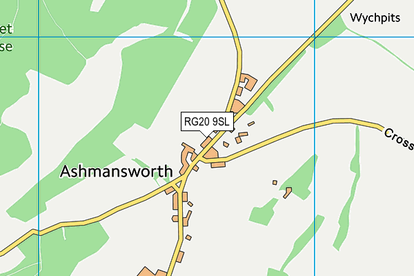 RG20 9SL map - OS VectorMap District (Ordnance Survey)