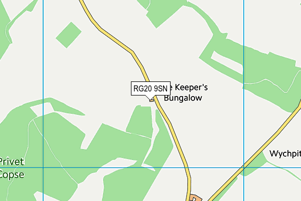 RG20 9SN map - OS VectorMap District (Ordnance Survey)