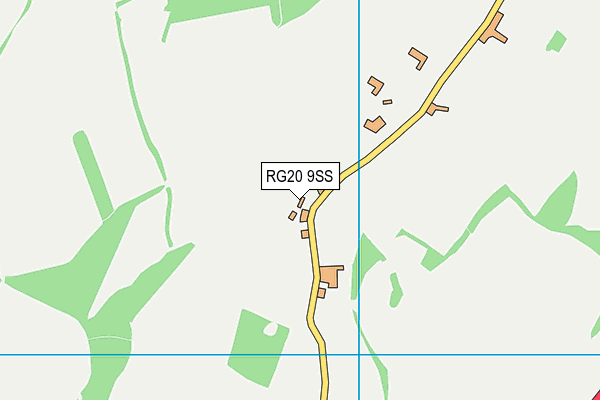 RG20 9SS map - OS VectorMap District (Ordnance Survey)