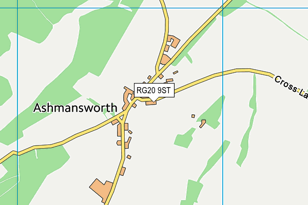 RG20 9ST map - OS VectorMap District (Ordnance Survey)