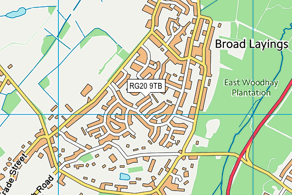 RG20 9TB map - OS VectorMap District (Ordnance Survey)